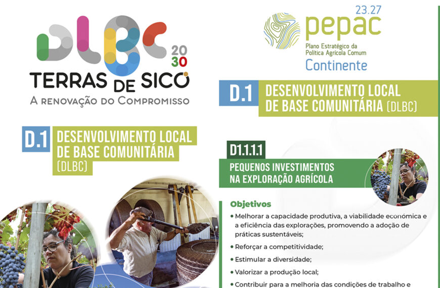 Apoios disponíveis no âmbito da Estratégia de Desenvolvimento Local