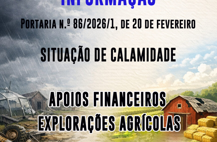 Apoios financeiros para explorações agrícolas afetadas pela Tempestade “Kristin”