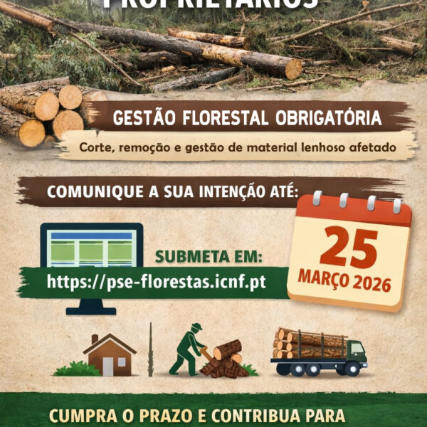 AVISO: Tempestade Kristin – Informação a proprietários de terrenos afetados