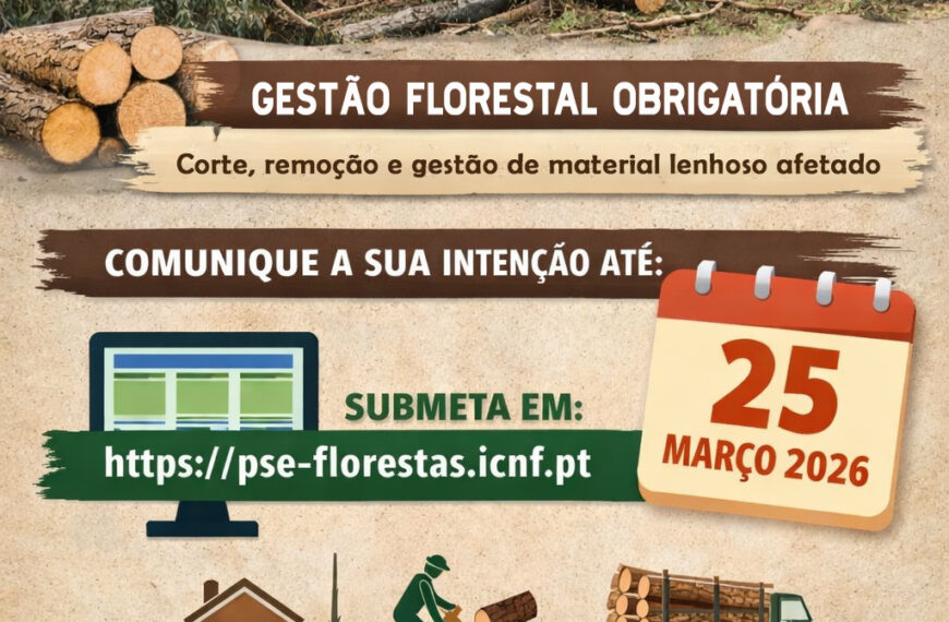 AVISO: Tempestade Kristin – Informação a proprietários de terrenos afetados